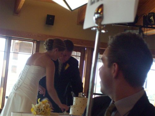 cutting the cake